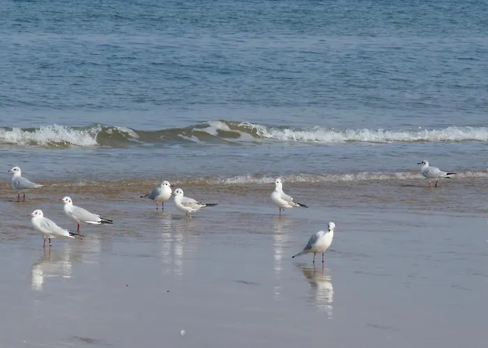 Le Petit Grenier Bed & Breakfast 3*